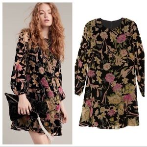 NEW Eliza J Print Burnout Velvet Shift Dress 0010